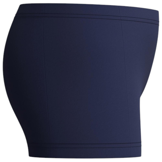 Speedo Παιδικό μαγιό Boys Plastisol Placement Aquashorts Speedo Παιδικό μαγιό Boys Plastisol Placement Aquashorts